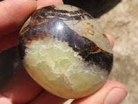 Polished Lovely Mixed Selection Of Palm Stones  x 12 From Madagascar - TopRock