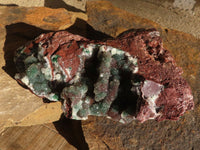 Natural Drusy Coated Ball Malachite On Dolomite Specimens  x 2 From Likasi, Congo