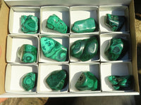 Polished Flower Banded Malachite Free Forms  x 12 From Congo - Toprock Gemstones and Minerals 