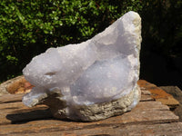 Natural Blue Lace Agate Geode Specimens  x 4 From Malawi - Toprock Gemstones and Minerals 