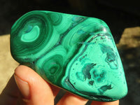 Polished Flower Banded Malachite Free Forms  x 12 From Congo - Toprock Gemstones and Minerals 