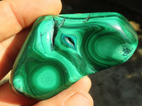 Polished Flower Banded Malachite Free Forms  x 12 From Congo - Toprock Gemstones and Minerals 