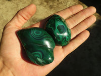 Polished Flower Banded Malachite Free Forms  x 12 From Congo - Toprock Gemstones and Minerals 