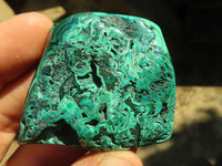 Polished Flower Banded Malachite Free Forms  x 12 From Congo - Toprock Gemstones and Minerals 