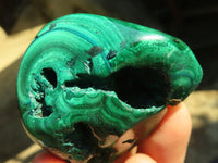 Polished Flower Banded Malachite Free Forms  x 12 From Congo - Toprock Gemstones and Minerals 