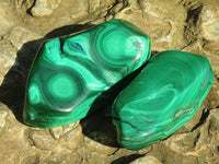 Polished Flower Banded Malachite Free Forms  x 12 From Congo - Toprock Gemstones and Minerals 