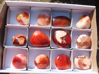 Polished Carnelian Agate Palm Stones  x 12 From Madagascar - Toprock Gemstones and Minerals 