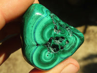 Polished Flower Banded Malachite Free Forms  x 12 From Congo - Toprock Gemstones and Minerals 