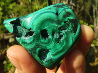 Polished Flower Banded Malachite Free Forms  x 12 From Congo - Toprock Gemstones and Minerals 