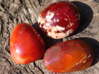 Polished Carnelian Agate Palm Stones  x 12 From Madagascar - Toprock Gemstones and Minerals 