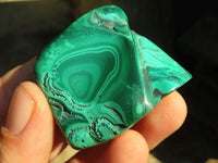 Polished Flower Banded Malachite Free Forms  x 12 From Congo - Toprock Gemstones and Minerals 