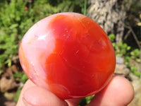 Polished Carnelian Agate Palm Stones  x 12 From Madagascar - Toprock Gemstones and Minerals 