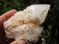 Natural Cascading Cathedral Window Quartz Formations  x 6 From Madagascar - TopRock