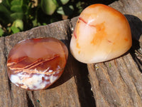 Polished Carnelian Agate Palm Stones  x 12 From Madagascar - Toprock Gemstones and Minerals 