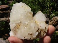 Natural Cascading Cathedral Window Quartz Formations  x 6 From Madagascar - TopRock