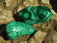 Polished Flower Banded Malachite Free Forms  x 12 From Congo - Toprock Gemstones and Minerals 