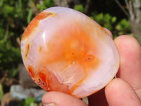 Polished Carnelian Agate Palm Stones  x 12 From Madagascar - Toprock Gemstones and Minerals 