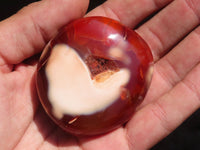 Polished Carnelian Agate Palm Stones  x 12 From Madagascar - Toprock Gemstones and Minerals 