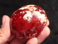 Polished Carnelian Agate Palm Stones  x 12 From Madagascar - Toprock Gemstones and Minerals 