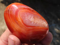 Polished Carnelian Agate Palm Stones  x 12 From Madagascar - Toprock Gemstones and Minerals 