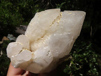 Natural Cascading Cathedral Window Quartz Formations  x 6 From Madagascar - TopRock