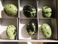 Polished  Spotted Leopard Stone Gallets  x 6 From Zimbabwe