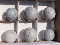 Polished Blue Spotted Spinel Spheres x 6 From Madagascar - TopRock