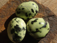 Polished  Spotted Leopard Stone Gallets  x 6 From Zimbabwe