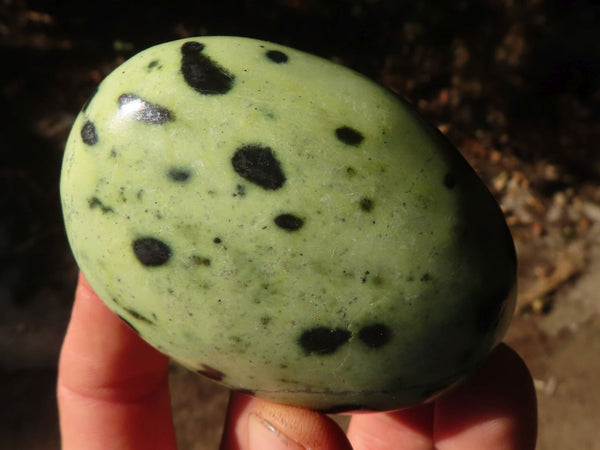 Polished  Spotted Leopard Stone Gallets  x 6 From Zimbabwe