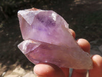 Natural Jacaranda Amethyst Crystal Specimens  x 7 From Mumbwa, Zambia - TopRock