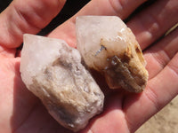 Natural Single Pineapple Candle Quartz Crystals  x 35 From Antsirabe, Madagascar - Toprock Gemstones and Minerals 