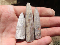 Natural Belemnite Fossil "Bullets" x 40 From Maintirano, Madagascar - TopRock