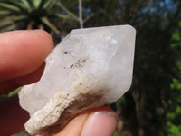 Natural Single Pineapple Candle Quartz Crystals  x 35 From Antsirabe, Madagascar - Toprock Gemstones and Minerals 