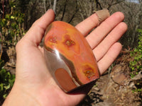 Polished Polychrome / Picasso Jasper Standing Free Forms  x 6 From Madagascar