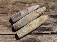 Natural Belemnite Fossil "Bullets" x 40 From Maintirano, Madagascar - TopRock