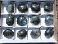 Polished Flashy Labradorite Palm Stones  x 12 From Tulear, Madagascar - TopRock