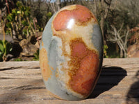 Polished Polychrome / Picasso Jasper Standing Free Forms  x 6 From Madagascar