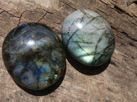 Polished Flashy Labradorite Palm Stones  x 12 From Tulear, Madagascar - TopRock