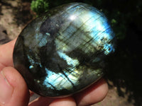 Polished Flashy Labradorite Palm Stones  x 12 From Tulear, Madagascar - TopRock