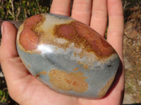 Polished Polychrome / Picasso Jasper Standing Free Forms  x 6 From Madagascar