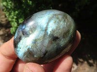 Polished Flashy Labradorite Palm Stones  x 12 From Tulear, Madagascar - TopRock