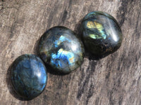 Polished Flashy Labradorite Palm Stones  x 12 From Tulear, Madagascar - TopRock