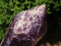 Polished Purple Lepidolite Points  x 3 From Madagascar - Toprock Gemstones and Minerals 