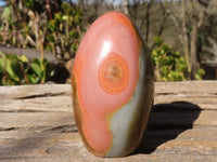 Polished Polychrome / Picasso Jasper Standing Free Forms  x 6 From Madagascar