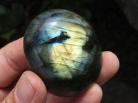 Polished Flashy Labradorite Palm Stones  x 12 From Tulear, Madagascar - TopRock