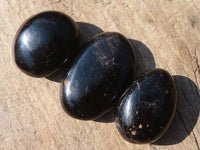 Polished Schorl Black Tourmaline Palm Stones  x 35 From Madagascar - Toprock Gemstones and Minerals 