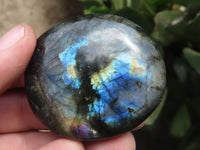 Polished Flashy Labradorite Palm Stones  x 12 From Tulear, Madagascar - TopRock