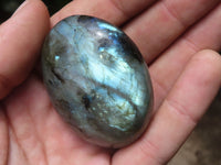 Polished Flashy Labradorite Palm Stones  x 12 From Tulear, Madagascar - TopRock