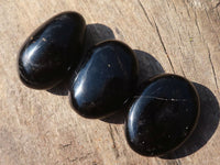 Polished Schorl Black Tourmaline Palm Stones  x 35 From Madagascar - Toprock Gemstones and Minerals 