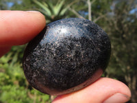 Polished Schorl Black Tourmaline Palm Stones  x 35 From Madagascar - Toprock Gemstones and Minerals 